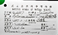 綺螄螺藏品圖，第16張