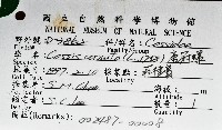 唐冠螺藏品圖，第9張