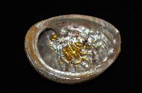 赤金鮑螺藏品圖，第10張