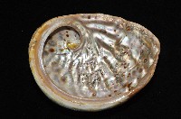 赤金鮑螺藏品圖，第17張