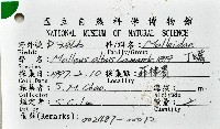 丁蠣藏品圖，第9張