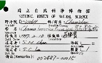 寶石偏口蛤藏品圖，第8張