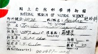 半扭魁蛤藏品圖，第4張