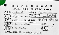 龜甲寶螺藏品圖，第12張