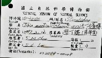 馬丁長鼻螺藏品圖，第12張