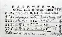美麗多指瓷蟹藏品圖，第4張