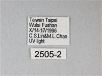 臺灣卵翅蛾藏品圖，第3張