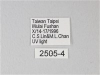 臺灣卵翅蛾藏品圖，第3張