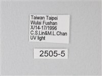 臺灣卵翅蛾藏品圖，第3張