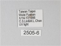 卵翅蛾科藏品圖，第3張