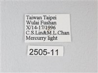 臺灣卵翅蛾藏品圖，第3張