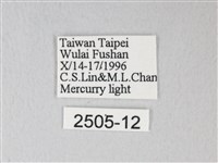 臺灣卵翅蛾藏品圖，第3張