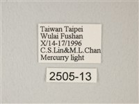 臺灣卵翅蛾藏品圖，第3張
