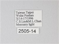 臺灣卵翅蛾藏品圖，第3張