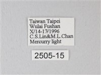 臺灣卵翅蛾藏品圖，第3張