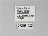 臺灣卵翅蛾藏品圖，第3張