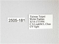 凹角鉤蛾藏品圖，第3張