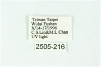 三色豔苔蛾藏品圖，第3張