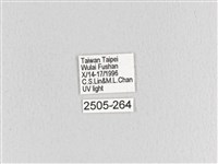 大斑Y毛蟲藏品圖，第3張