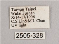 接骨木帶鉤蛾藏品圖，第3張