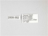 大透目天蠶蛾藏品圖，第3張