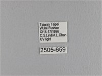 大褐斑枯葉蛾藏品圖，第3張