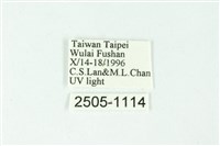 三色豔苔蛾藏品圖，第3張