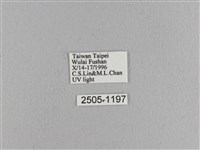 松大毛蟲藏品圖，第3張