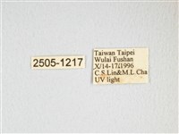 大透目天蠶蛾藏品圖，第3張