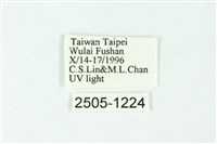 三色豔苔蛾藏品圖，第3張