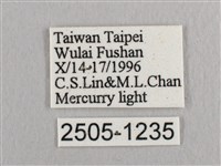 銀斑黃鉤蛾藏品圖，第3張