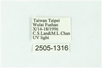 三色豔苔蛾藏品圖，第3張