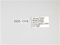 大透目天蠶蛾藏品圖，第3張