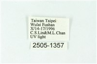 三色豔苔蛾藏品圖，第3張