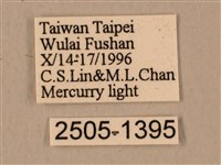 背中白天蛾藏品圖，第3張