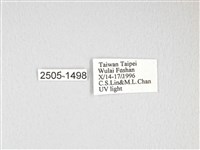 大透目天蠶蛾藏品圖，第3張