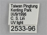 扁刺蛾藏品圖，第3張