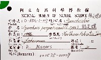 鵜足螺藏品圖，第8張