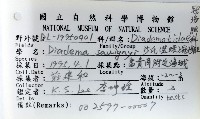 沙氏(藍環)冠海膽藏品圖，第16張