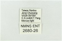 臺洒波紋蛾藏品圖，第3張