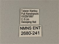 異粉蝶、雌白黃蝶藏品圖，第3張