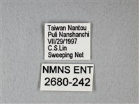 異粉蝶、雌白黃蝶藏品圖，第3張