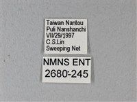 異粉蝶、雌白黃蝶藏品圖，第3張