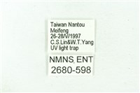 臺雪苔蛾藏品圖，第3張