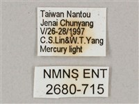 盾天蛾藏品圖，第3張