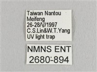 銀端帶鉤蛾藏品圖，第3張