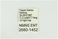 寬紋黃毒蛾藏品圖，第3張