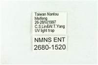 臺雪苔蛾藏品圖，第3張