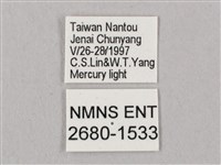 桃紅六點天蛾藏品圖，第3張