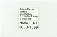 臺雪苔蛾藏品圖，第3張